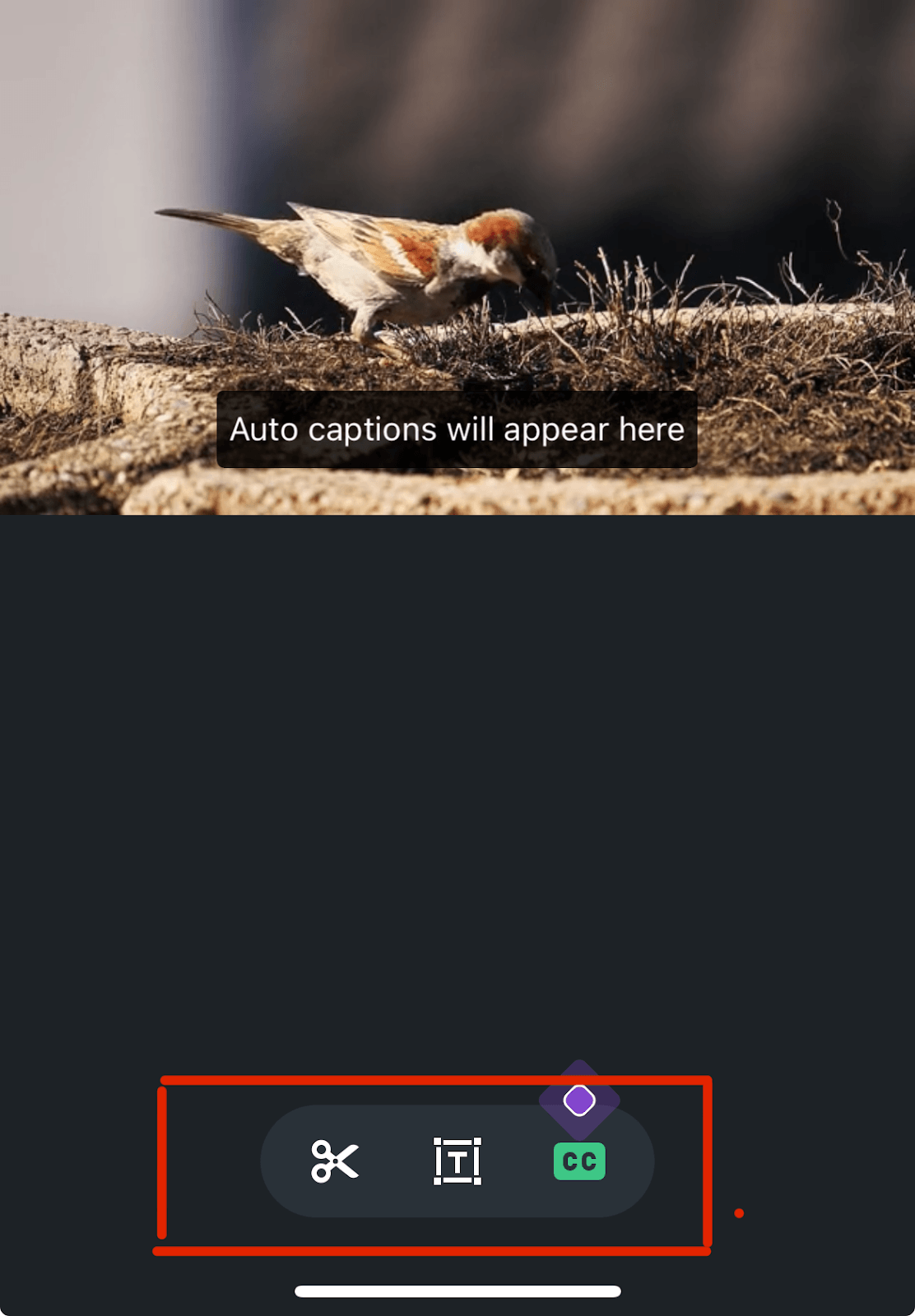 How to Share Videos from Your Mobile Device