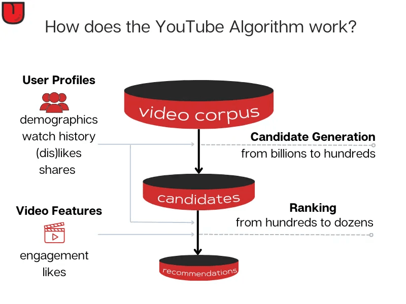 How Does the YouTube Algorithm Work?