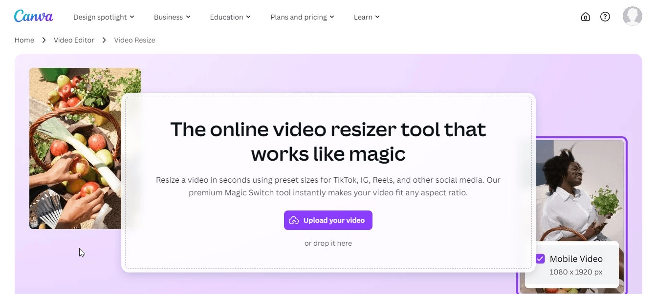 6. Canva