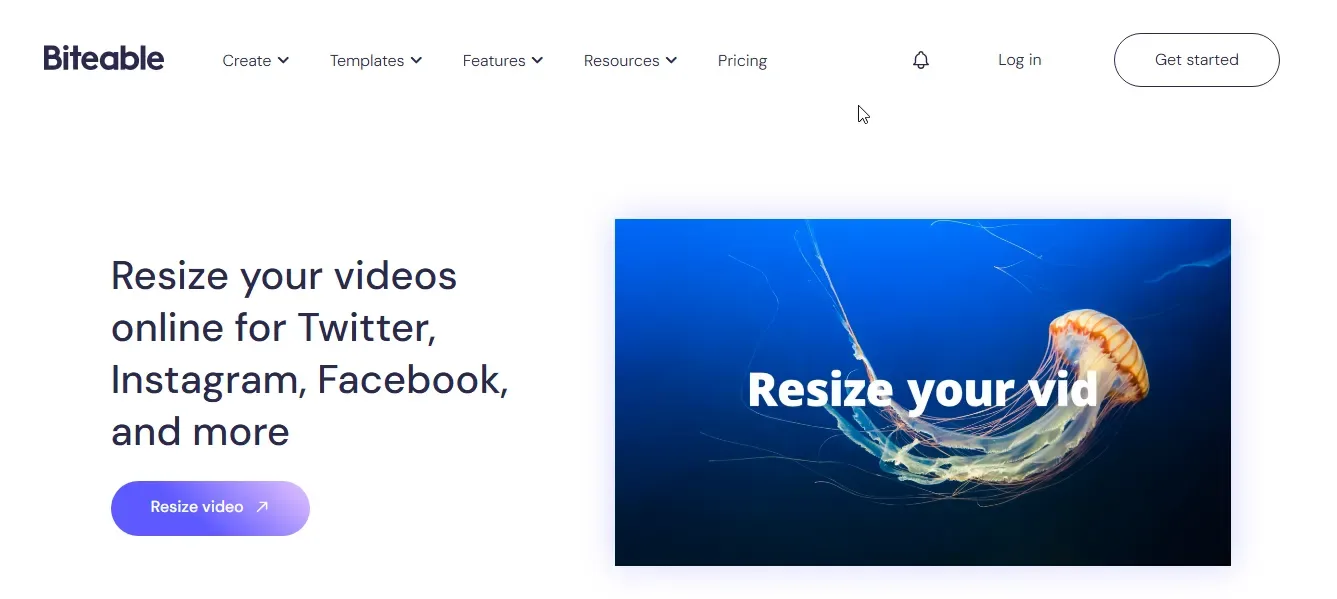 Biteable resize video tool