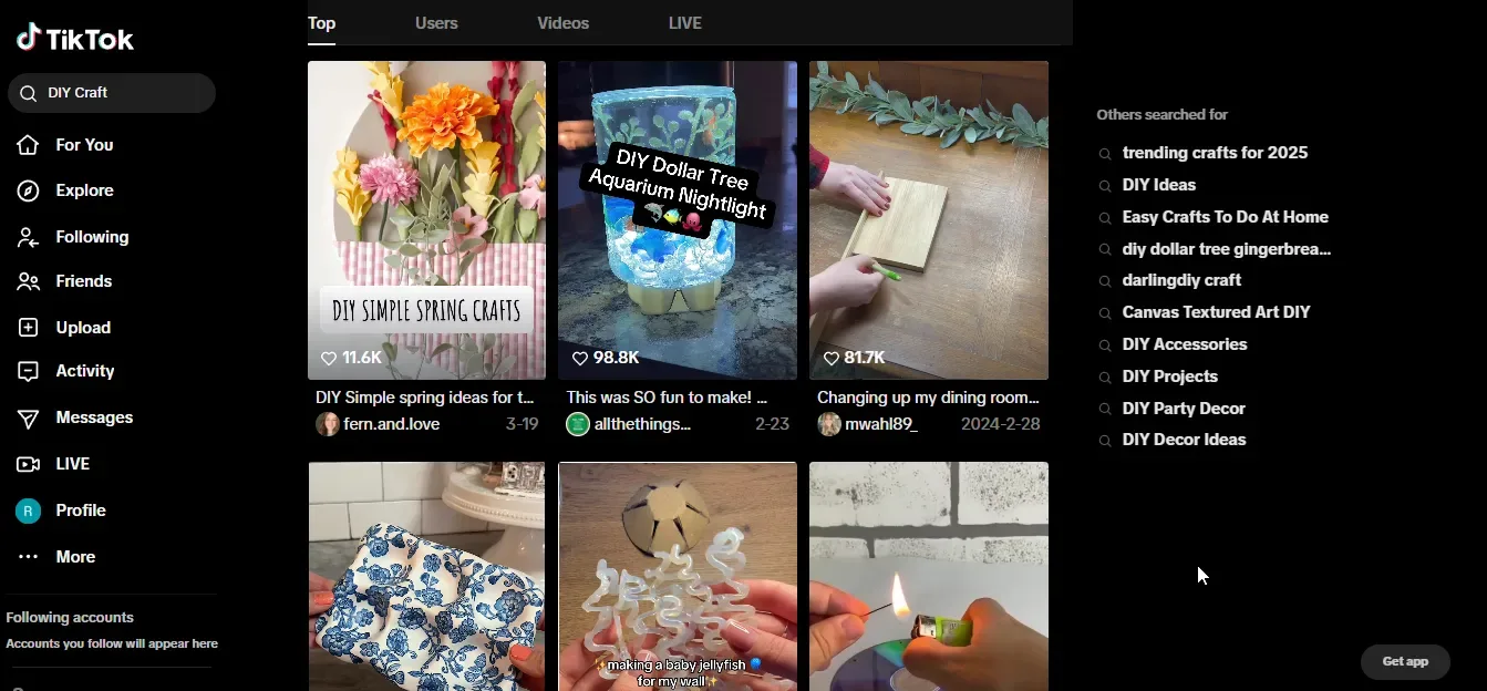 tiktok niche diy craft