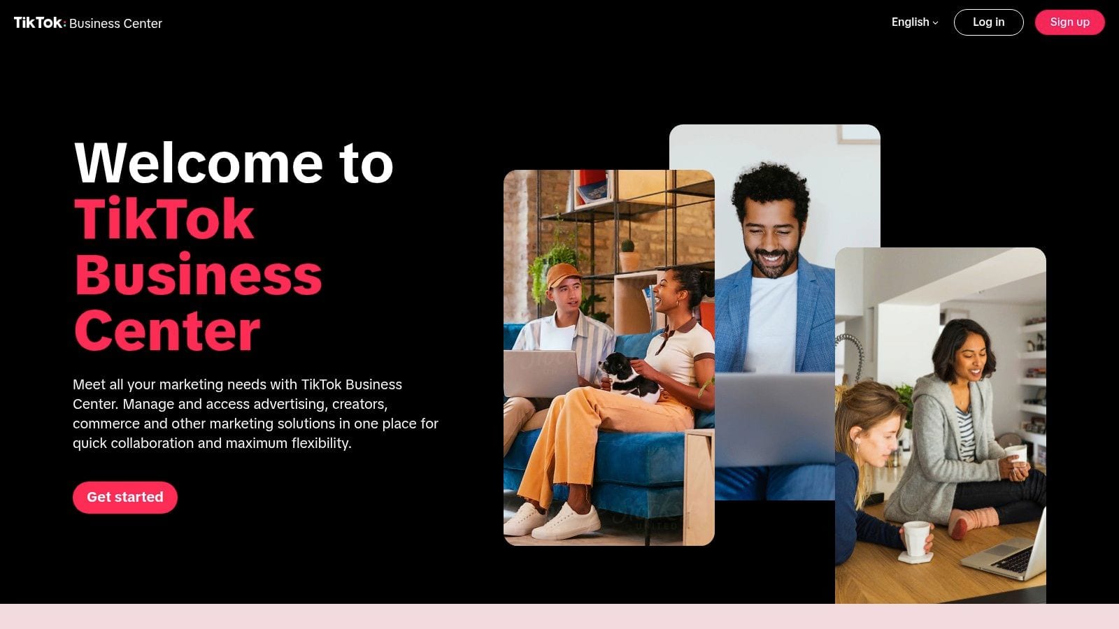 Screenshot from https://business.tiktok.com/